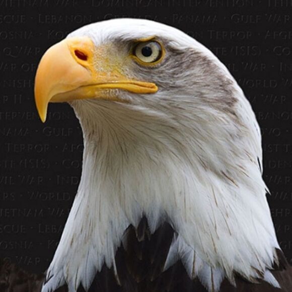 We Will Not Forget Our Veterans Deployed or Retired. THANK YOU - Picture 4 of 9